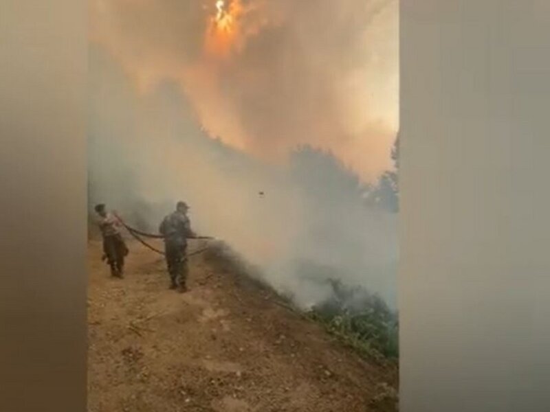 FHN: 'Qəbələdəki yanğın söndürülüb