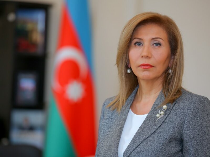 Bahar Muradova bəzi deputatları tənqid edib: 