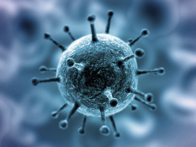 Alimlər koronavirusa qarşı təsirli bitkinin olduğunu açıqladılar