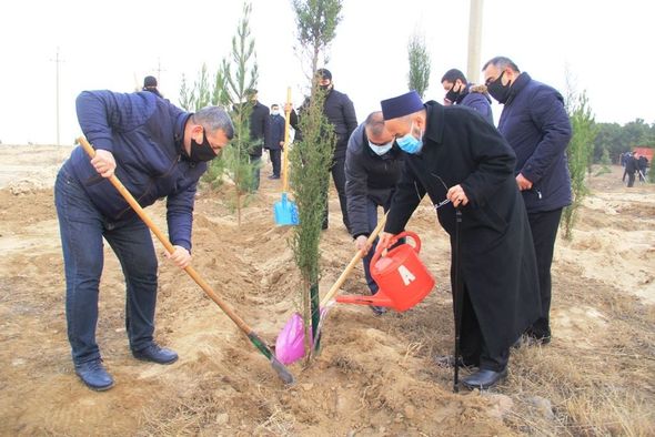 Gəncədə Vətən müharibəsi şəhidlərinin xatirəsinə 2783 ağac əkilib - FOTO