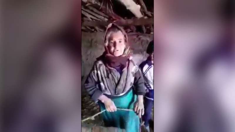 DİN: Qazaxda mal-qaranın oğurlanması araşdırılır - VİDEO