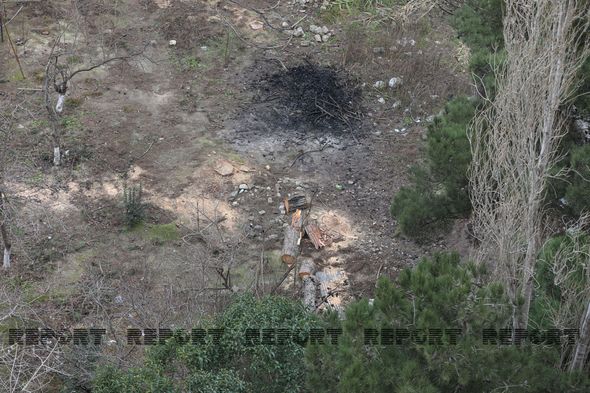 Nizami rayonunda ağaclar məhv edilir - FOTO