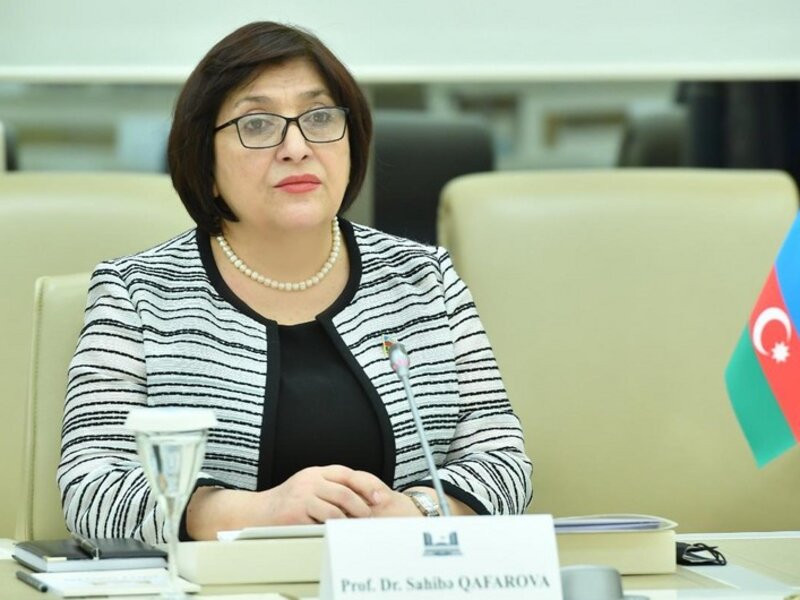 Sahibə Qafarova: 'İnsanları narahat edən məsələlər Milli Məclisdə qaldırılmalıdır