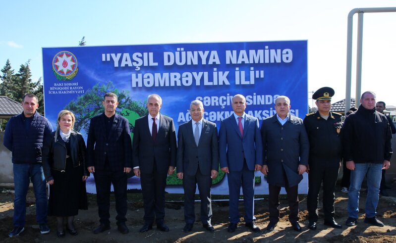 Binəqədi rayonunda növbəti ağacəkmə aksiyası keçirildi - FOTOLAR