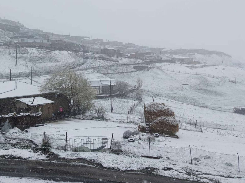 Sabah bu ərazilərdə qar yağacaq