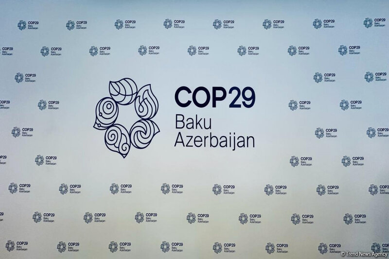 COP29-un keçirilməsinə ayrılan vəsaitin auditi aparılacaq