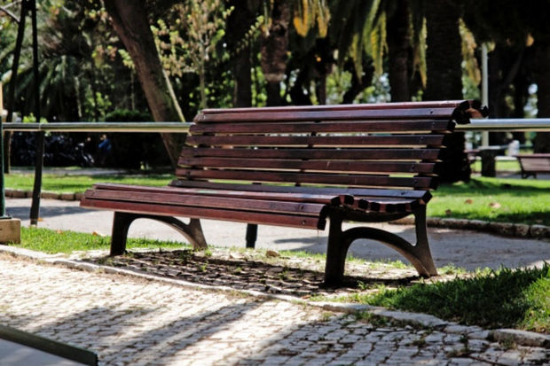 Parkdan oturacaq oğurlandı