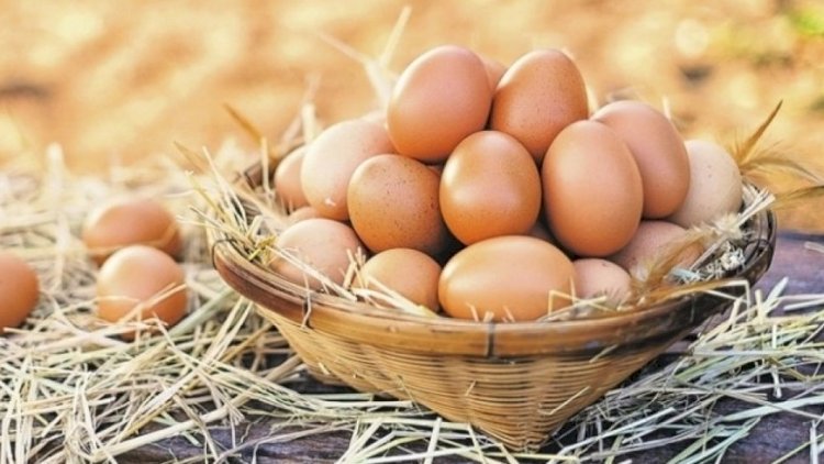 Azərbaycanda yumurtanın qiyməti bu tarixdən UCUZLAŞACAQ
