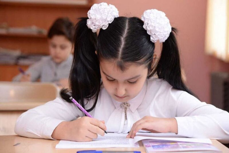 İlk 10 dəqiqədə...' - Şagird yerdəyişmə sistemi buna görə çökübmüş