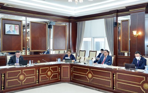Avronest PA-nın 9-cu sessiyası çərçivəsində qurumun onlayn formatda plenar iclası keçirilib - FOTO