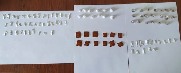 Yevlax rayonunda polis əməliyyat keçirdi: 12 nəfər saxlanıldı - FOTO