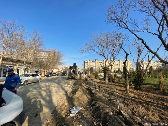 Bakıda salınan yeni parkın 70 faizi meşə zonası olacaq - FOTO