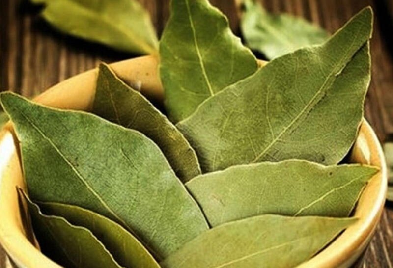 Dəfnə yarpağının SİRLİ MÖCÜZƏLƏRİ