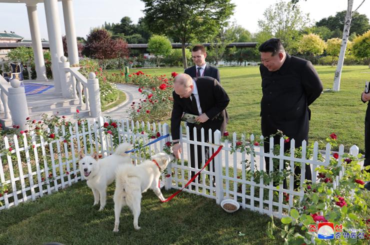 Kim Çen In Putinə iki nadir ov iti HƏDİYYƏ ETDİ - FOTO