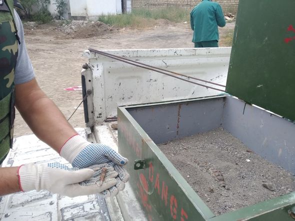 Gəncənin Bağbanlar qəsəbəsində qumbara və avtomat gülləsi tapıldı - FOTO