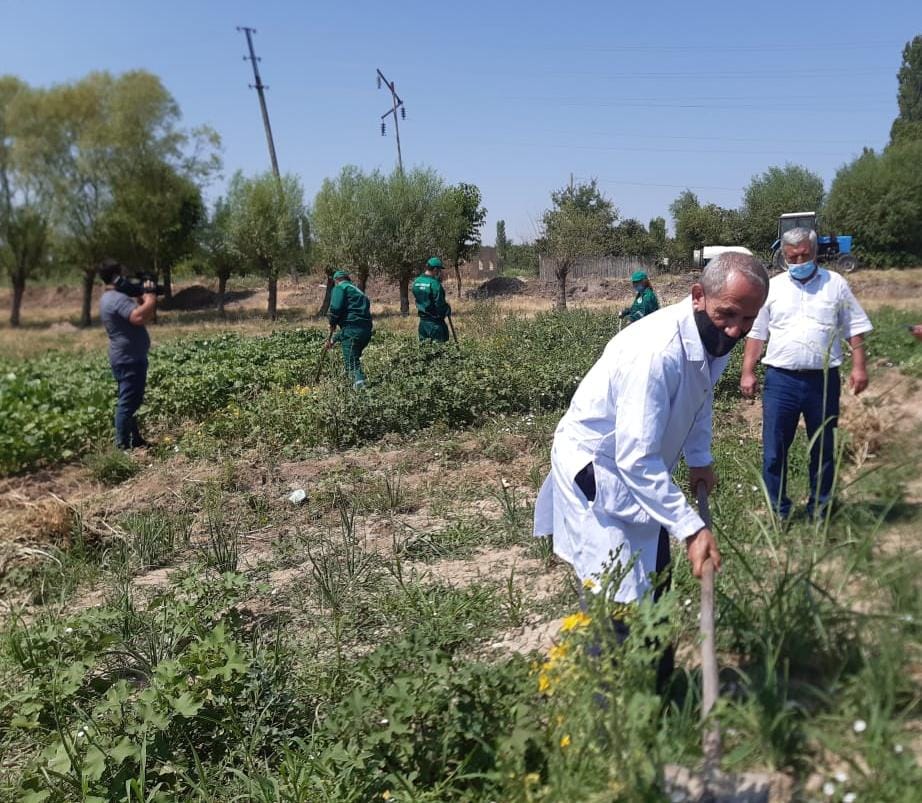 Əkin sahələrindəki zərərli orqanizmlərə qarşı kimyəvi dərmanlama aparılıb