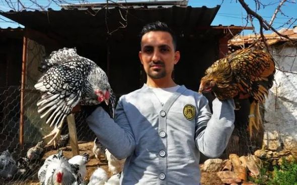 Türkiyəli fermer mavi yumurtanın birini 10 dollardan satır - FOTO