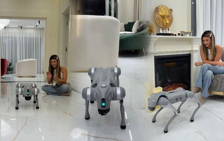 Azərbaycanlı bloger robot it alıb