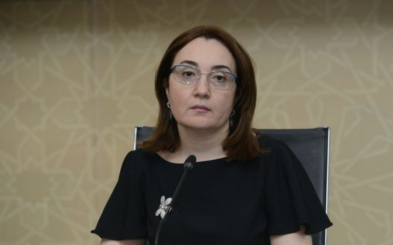 TƏBİB rəsmisi xəstəxanaların fəaliyyətini tənqid edib