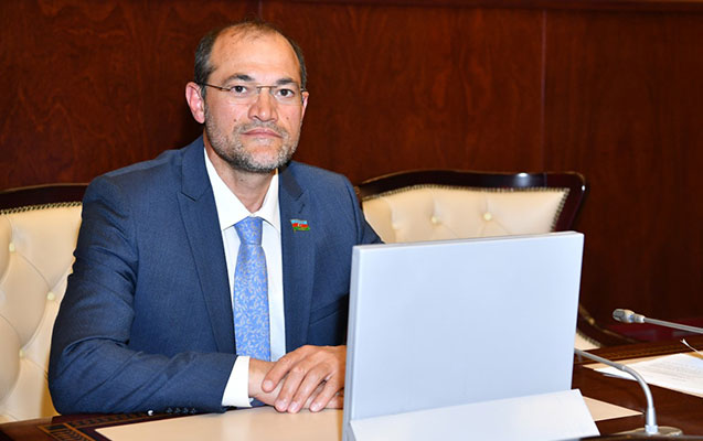 İmişlinin deputatı 11 yaşlı qızın ana olmasından danışdı: 'O ailə