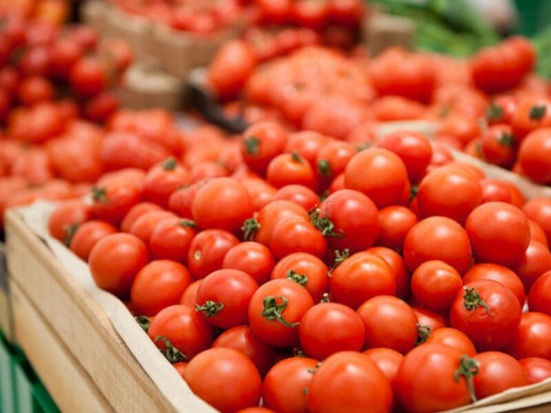 İndiyədək Azərbaycanın 187 müəssisəsindən Rusiyaya pomidor ixracına icazə verilib