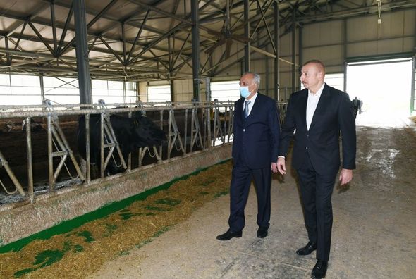 Prezident Hacıqabulda aqroparkın açılışında iştirak etdi - FOTO/VİDEO