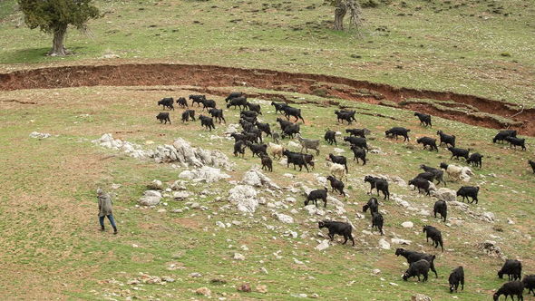 50 kilometr uzanan qırılma: Üç-dörd yerə bölünən əkin sahələrindən inanılmaz görüntülər - FOTO