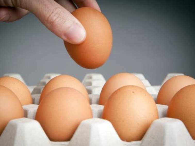 Yumurtanın təzə olub-olmadığını necə yoxlamaq olar?