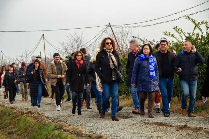 "Sitrus vadisi"ndə bir gün - FOTO