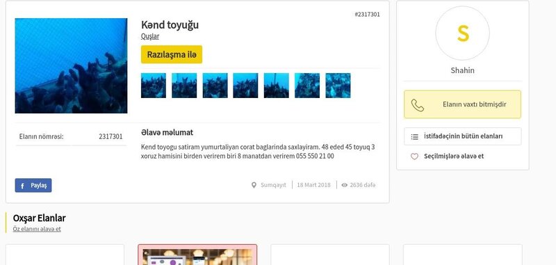 Azərbaycanda yeni dələduz qardaşlar peyda olub - FOTOLAR