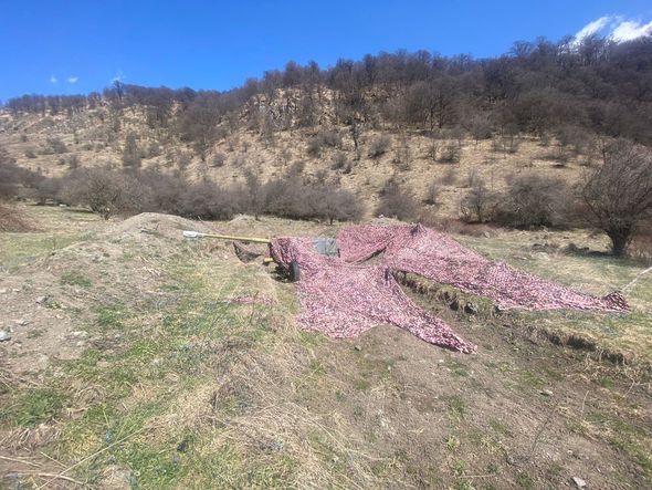 Kəlbəcərdə artilleriya qurğuları və sursat aşkarlanıb - FOTO