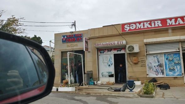 Bakıda daha bir iyrənc mənzərə: Qanunsuz ət kəsiminə niyə göz yumulur? - FOTO