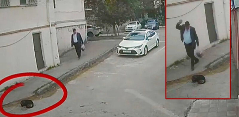 Biləcəridə heyvanlara qarşı rəhmsiz davranan şəxslə bağlı tədbir görüldü