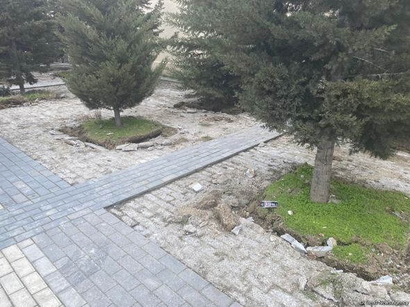 Yasamalda ağaclar niyə köçürülür? - Nazirlikdən CAVAB + FOTO