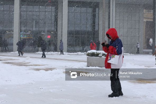 Ağ örpəyə bürünən Bakı küçələrindən FOTOREPORTAJ