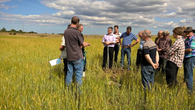 Təbiətə hörmət, məhsuldarlığa dəstək: fermerlər üçün yeni yanaşma
