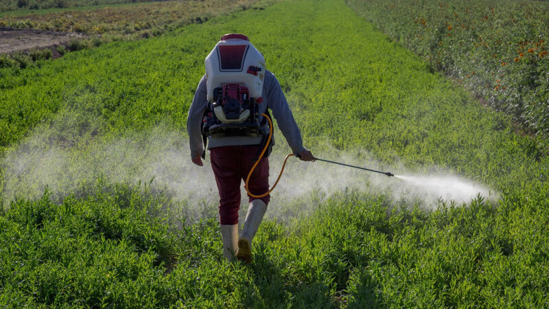 Torpağa gübrə veririk, bəs bitki niyə qidalanmır? – Qışa hazırlığın əsas sualı