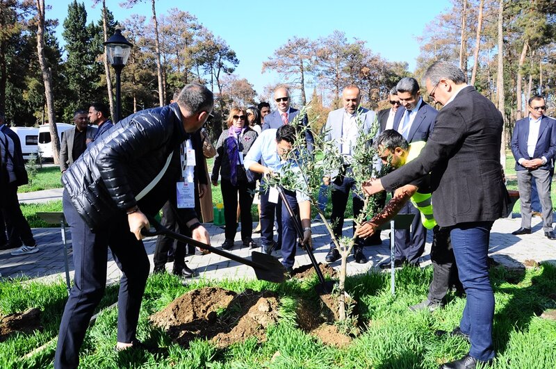 Naftalanda Beynəlxalq Elmi-Praktik Konfrans işə başlayıb - FOTOLAR