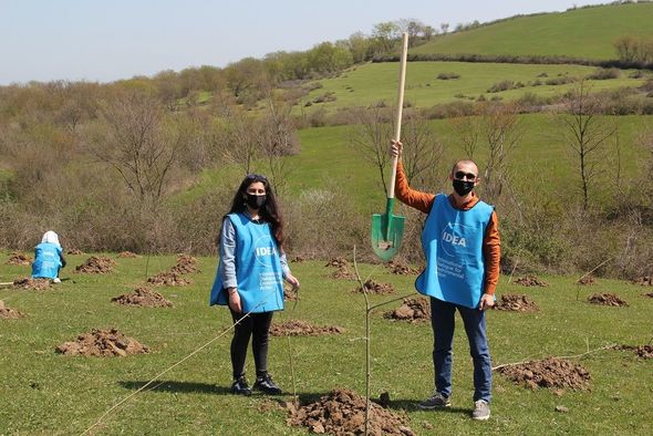"Yaşıl Marafon" layihəsi üzrə ağacəkmə aksiyaları uğurla davam edir - FOTO