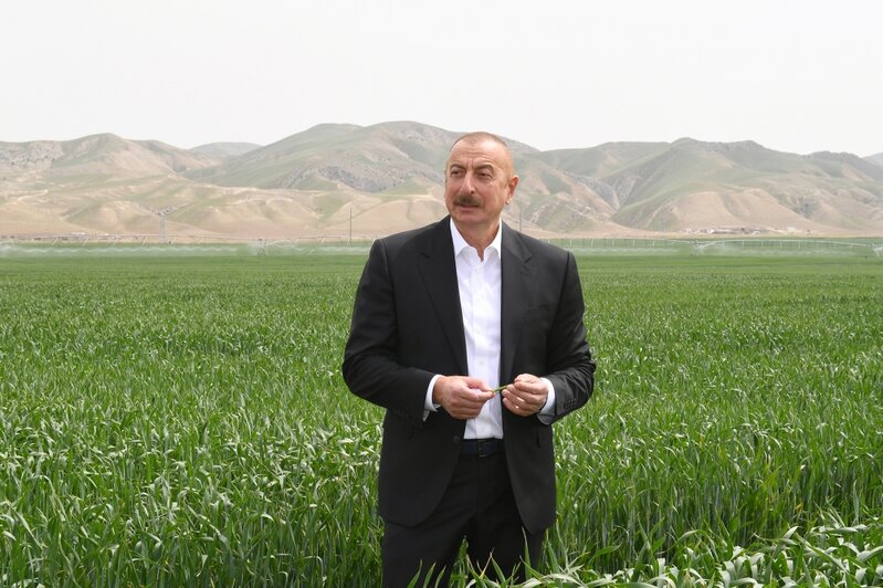 Hacıqabulda "Aqro Dairy" MMC-nin aqroparkının təqdimatı oldu - YENİLƏNİB+FOTO/VİDEO
