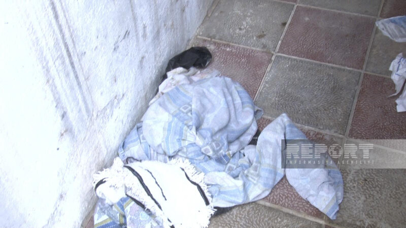 Masazırda evdən qadın meyitinin tapılmasının təfərrüatı məlum oldu - FOTO