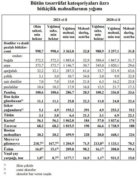 Azərbaycanda yığılmış buğda və arpanın həcmi açıqlandı