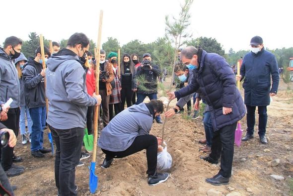 Gəncədə Vətən müharibəsi şəhidlərinin xatirəsinə 2783 ağac əkilib - FOTO