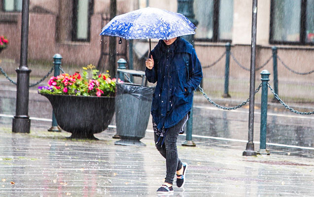 Yağış yağacaq, külək əsəcək - Sabahın havası