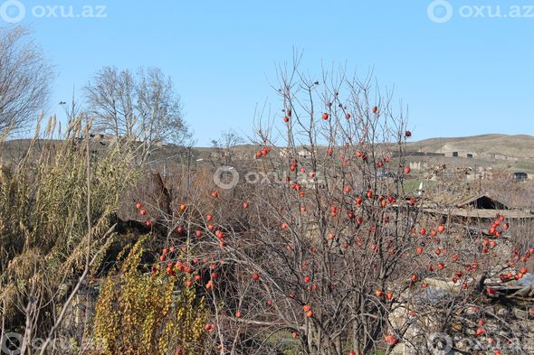 Minglərin məskəni olan Mincivandan FOTOREPORTAJ