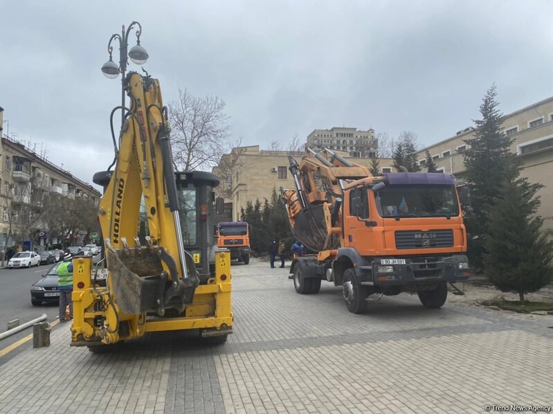 Yasamalda ağaclar niyə köçürülür? - Nazirlikdən CAVAB + FOTO