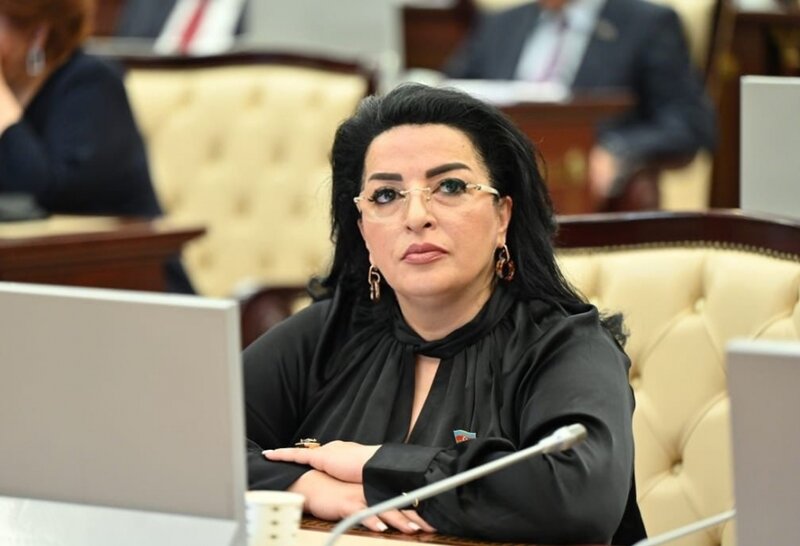 Amnistiya ailələrə sevinc gətirir, cəmiyyətə isə məsuliyyət və ümid aşılayır' - Deputat