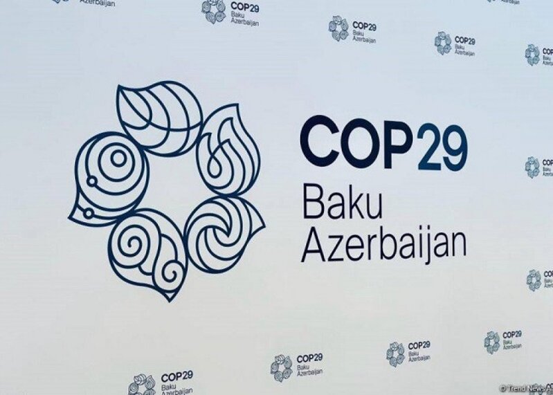 COP29 xüsusi viza portalı istifadəyə VERİLDİ