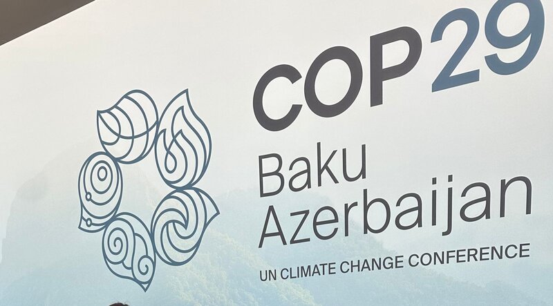 Fransa COP29-da niyə iştirak etmir? - Rəsmi açıqlama