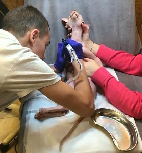 Məşhur bloqer paylaşımına görə sərt tənqid olundu - FOTO